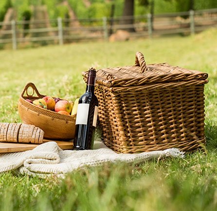 Picnic Basket at Andrews By the Sea, New Brunswick