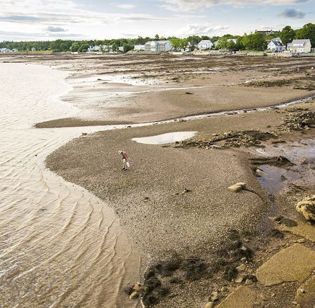 SurfnSCUBA at Andrews By the Sea, New Brunswick