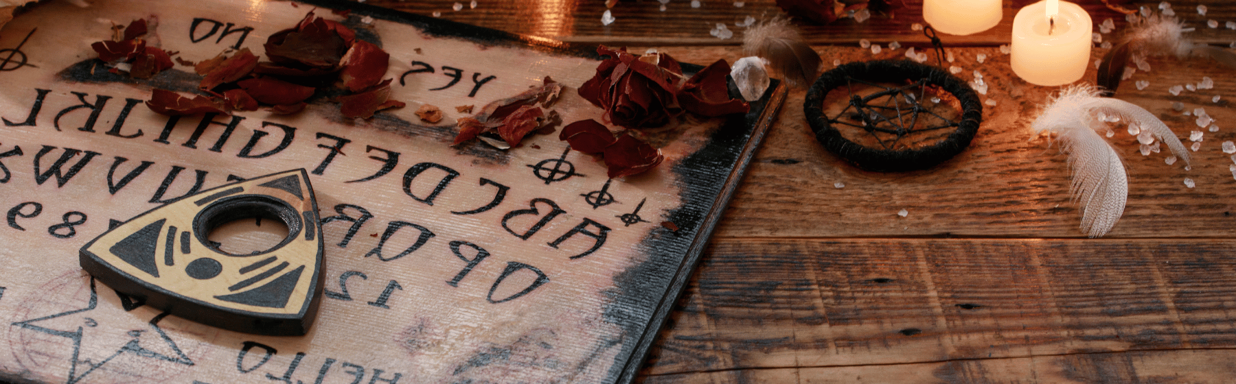 The Paranormal Investigator