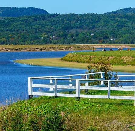 Katy’s Cove at Andrews By the Sea, New Brunswick