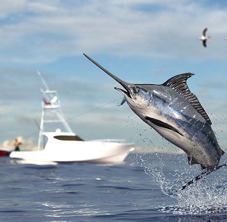 Sport Fishing at Andrews By the Sea, New Brunswick