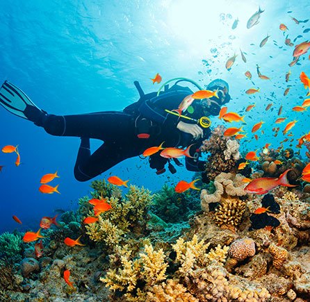 SurfnSCUBA at Andrews By the Sea, New Brunswick